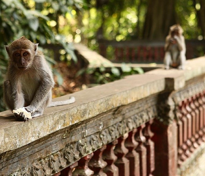Hal Yang Harus Diperhatikan Saat Berlibur Ke Thailand