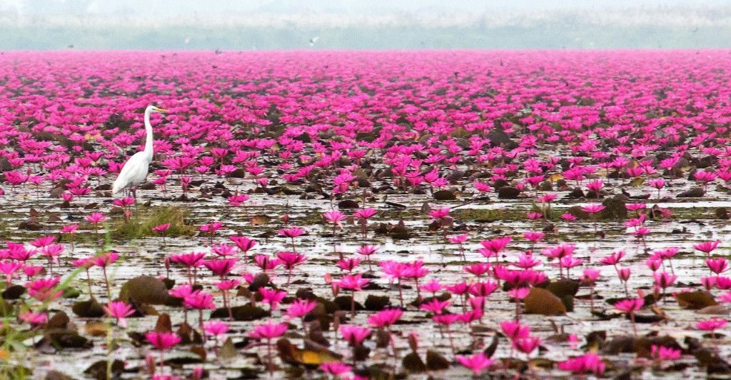 8 Tempat Rahasia Untuk Dijelajahi di Thailand